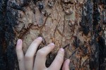 photo thumbnail #7