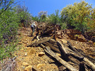 photo thumbnail #6