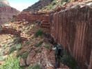 photo thumbnail #4