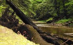 photo thumbnail #14