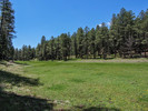 photo thumbnail #12