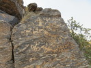photo thumbnail #11