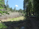 photo thumbnail #7