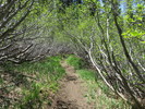 photo thumbnail #8