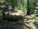 photo thumbnail #9