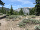 photo thumbnail #12