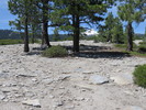 photo thumbnail #11