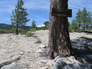 photo thumbnail #13