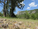 photo thumbnail #1