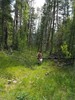 photo thumbnail #3