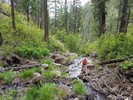 photo thumbnail #5