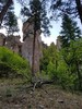 photo thumbnail #13