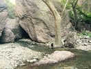 photo thumbnail #9