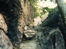 photo thumbnail #12