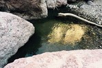 photo thumbnail #15