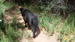 photo thumbnail #7