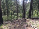 photo thumbnail #6