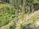 photo thumbnail #7