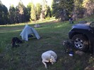 photo thumbnail #11