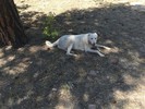 photo thumbnail #11
