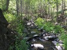 photo thumbnail #15