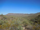photo thumbnail #1