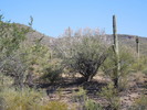 photo thumbnail #4