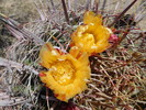 photo thumbnail #15
