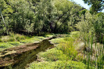 photo thumbnail #9