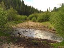 photo thumbnail #6