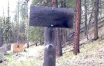 photo thumbnail #10