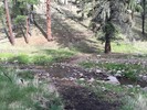 photo thumbnail #12