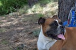 photo thumbnail #4