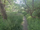 photo thumbnail #6