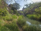 photo thumbnail #7