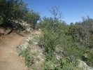 photo thumbnail #4