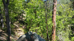 photo thumbnail #3
