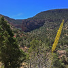 photo thumbnail #11