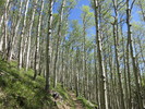 photo thumbnail #1