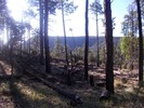 photo thumbnail #9