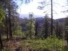 photo thumbnail #10
