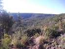 photo thumbnail #13