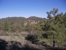 photo thumbnail #15
