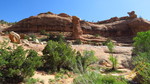 photo thumbnail #7