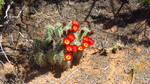 photo thumbnail #8