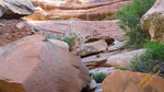 photo thumbnail #11