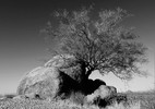 photo thumbnail #3