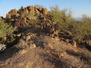 photo thumbnail #2