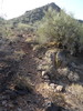 photo thumbnail #7
