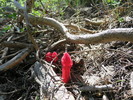 photo thumbnail #3